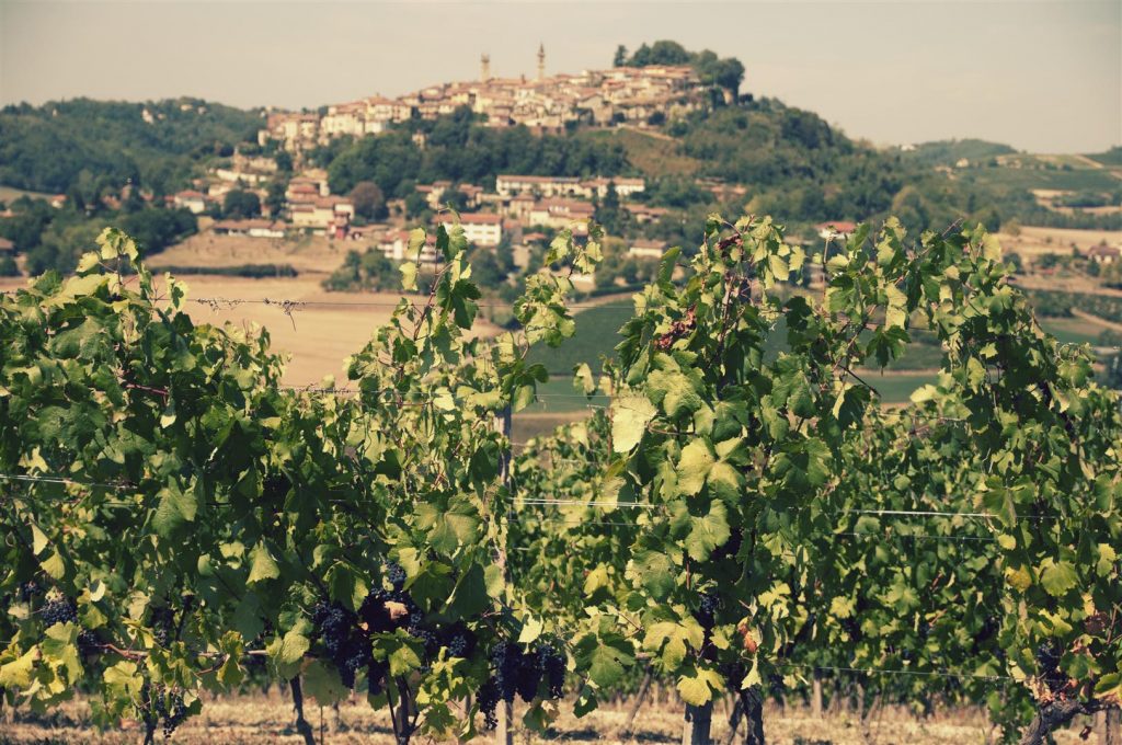 Trips Uncategorized @ro  Monferrato: Pe drumul vinului italienesc