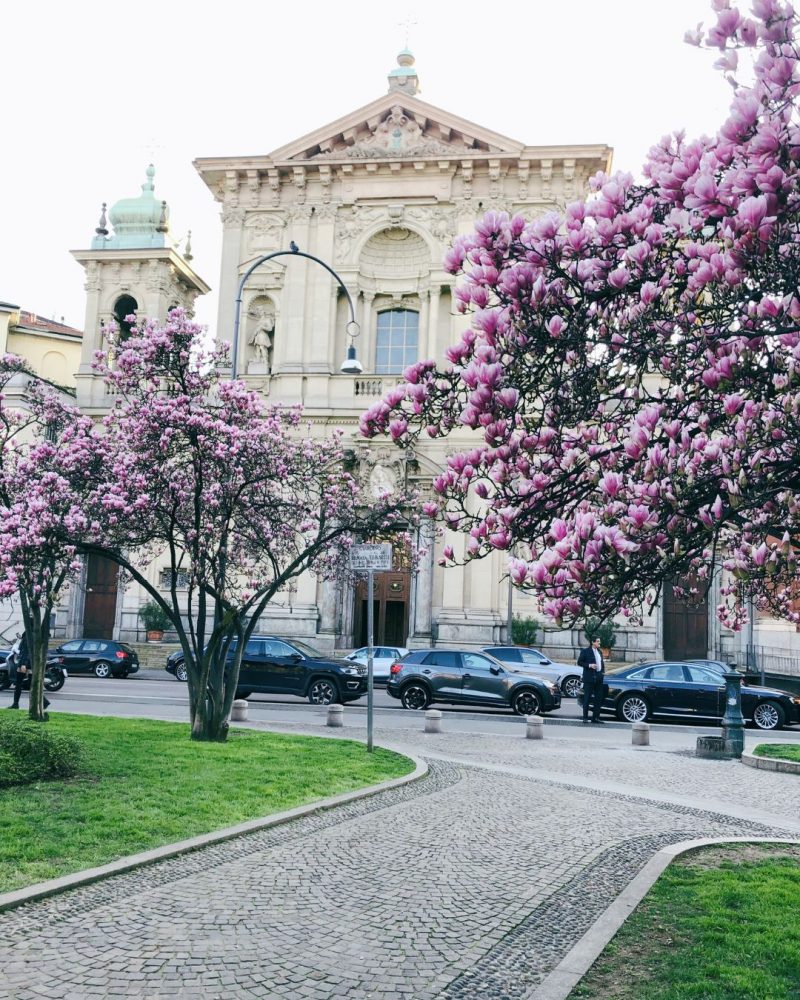 Strazile din Milano cu copacii infloriti primavara